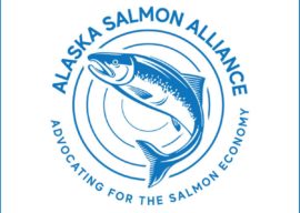ASA Letter to City Council