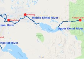 KSRM: All king salmon fishing on Kenai River closed for 3rd year on forecast of record low run