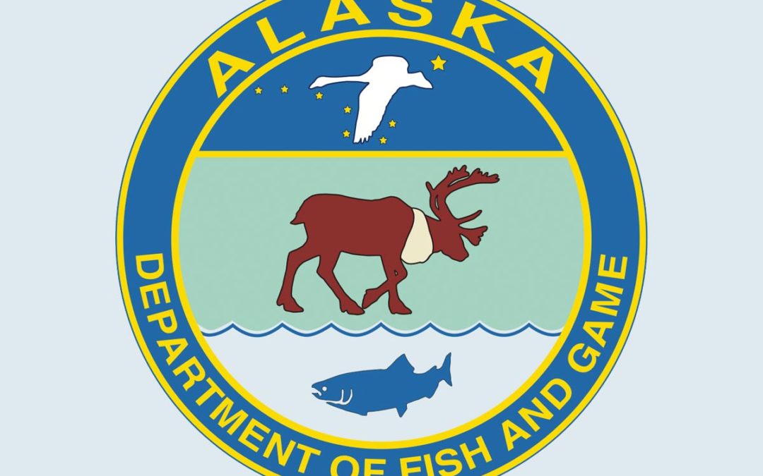 AK DFG: 2019 Upper Cook Inlet Commercial Salmon Fishery Season Summary