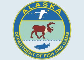 AK DFG: 2019 Upper Cook Inlet Commercial Salmon Fishery Season Summary