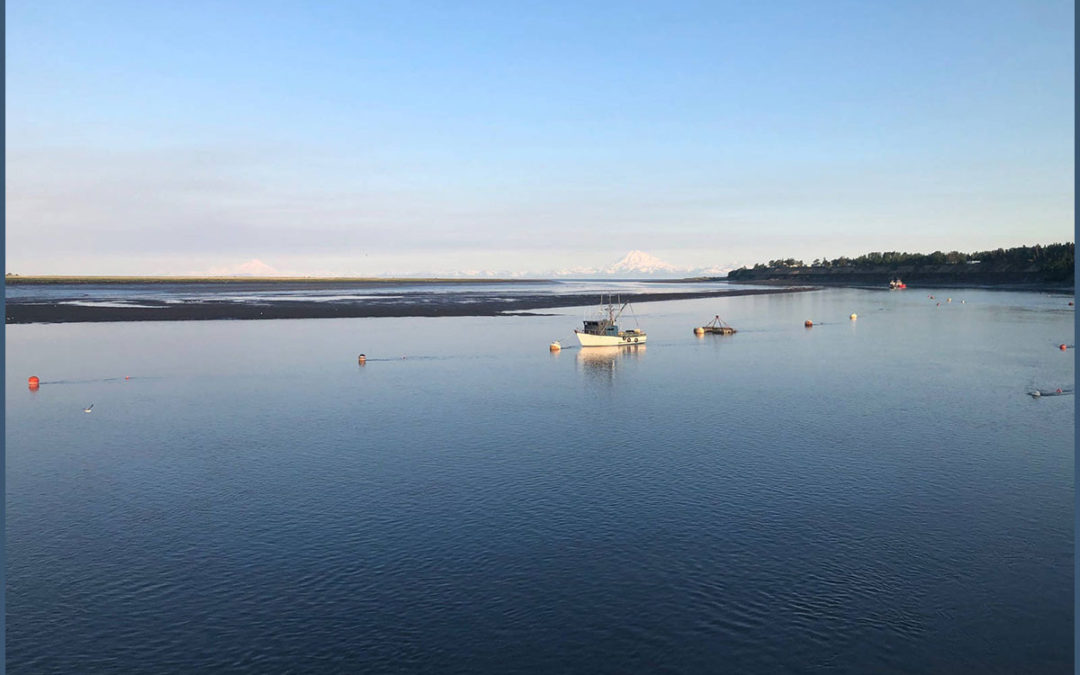 Alaska Journal | Cook Inlet fishermen celebrate ‘Return of the Reds’ with hope for 2019