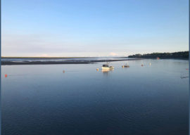 Alaska Journal | Cook Inlet fishermen celebrate ‘Return of the Reds’ with hope for 2019