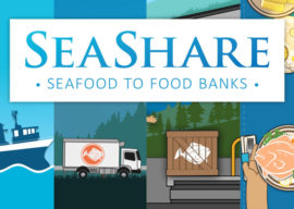 Donation to SeaShare.org