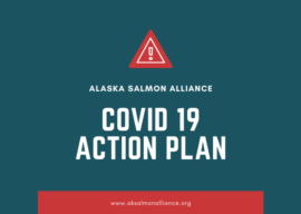COVID 19 Action Plan