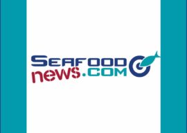 Cook Inlet Fishermen, Communities Call New  Alternative Salmon Plan “Appalling”, “Ludicrous”
